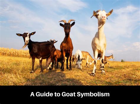 A Guide to Goat Symbolism