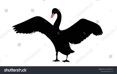 Black Swan Silhouette Swans On Lake Stock Vector (Royalty Free ...