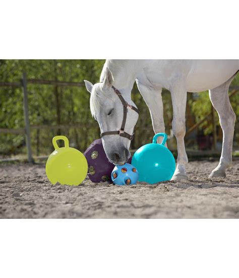 Horse Play Ball - Toys for Horses - Kramer Equestrian