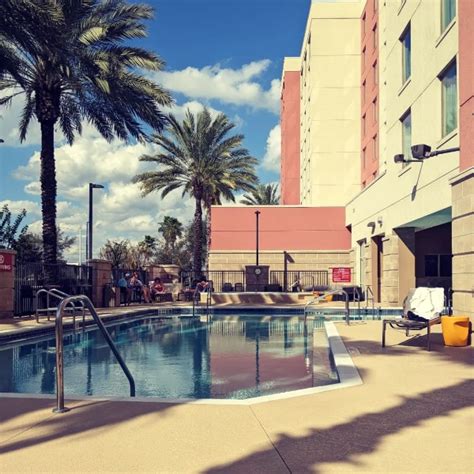 15 Pet Friendly Hotels in Orlando (2024 Update) - Catster