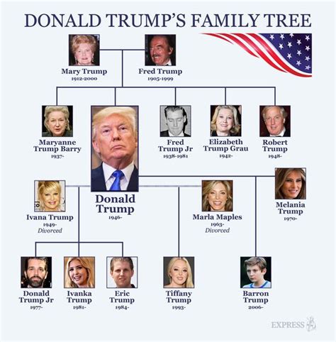 Donald Trump brother REVEALED: Sad story of Trump’s brother who died ...