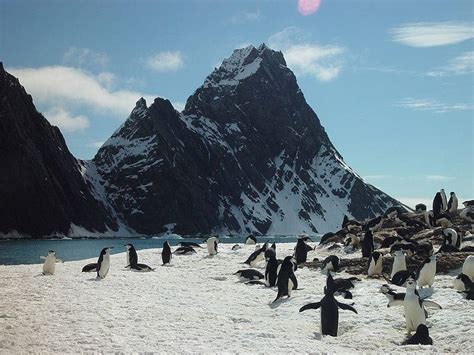 Comprehensive Guide on Antarctica - Tripelle