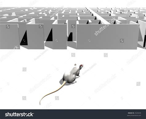 Rat Approaching Maze Stock Illustration 2520245 | Shutterstock