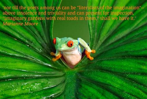 Quotes From Frog And Toad. QuotesGram