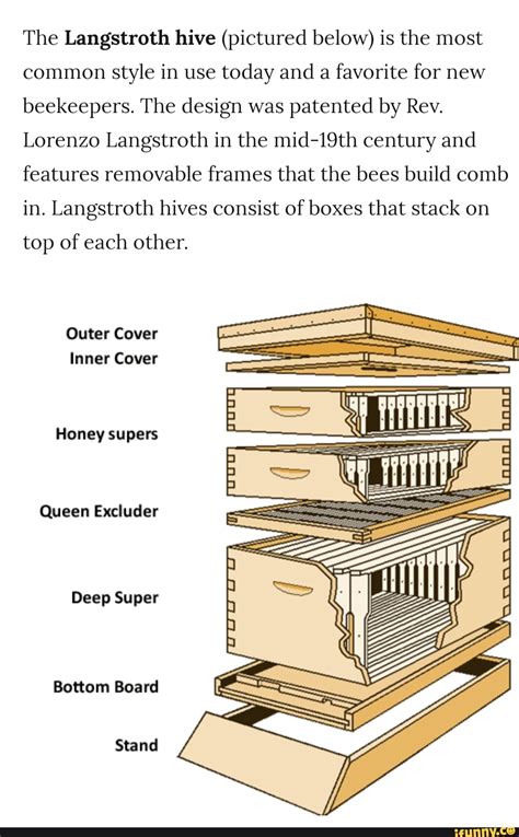 The Langstroth hive (pictured below) is the most common style in use ...