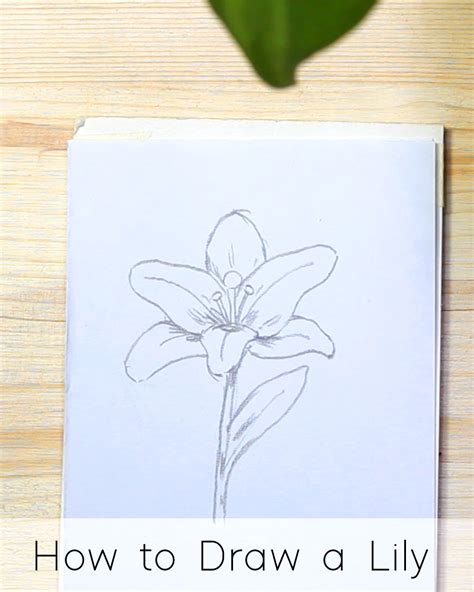 How To Draw Realistic Flowers Step By Step