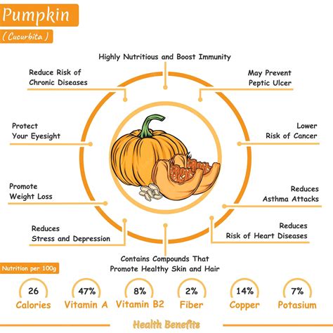 Premium Vector | Health benefits of a pumpkin