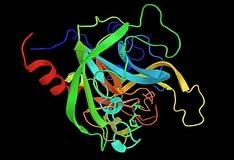 Antithrombin Deficiency: Background, Pathophysiology, Antithrombin Gene Structure