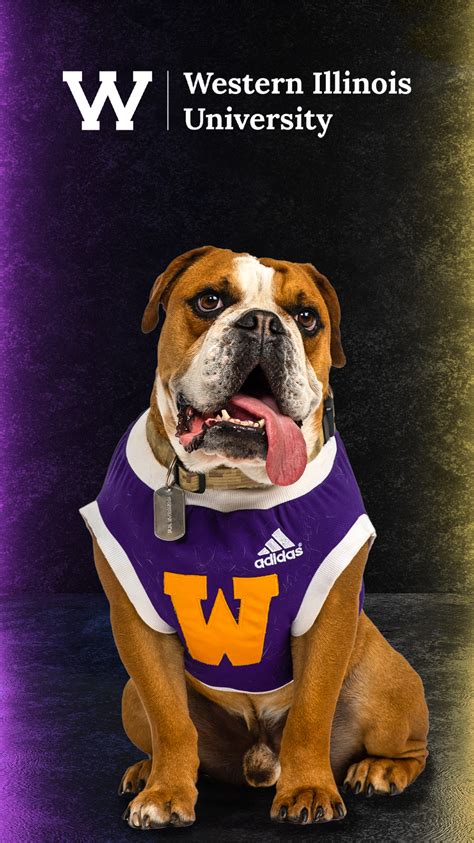 Colonel Rock Downloads - WIU