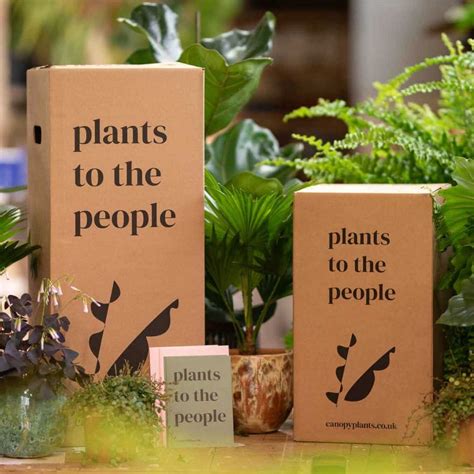 Gifts for plant lovers: 25 of the best plant gifts to buy in 2021