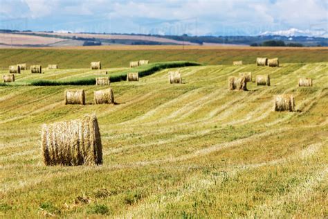 Pictures Of Hay Bales In A Field - PictureMeta