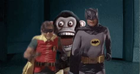 Monkey Batman GIF - Monkey Batman Robin - Discover & Share GIFs