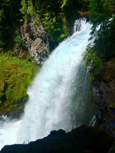 Hiking the McKenzie River Trail