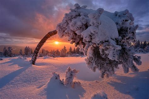 snow, Winter, Germany, Landscape, Sunlight, Nature Wallpapers HD ...