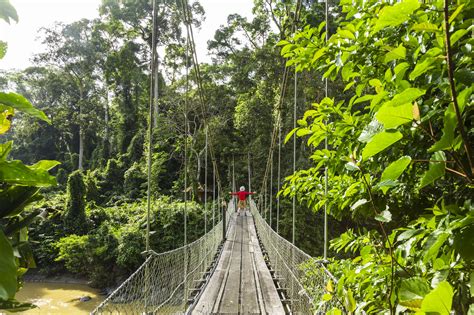 Top Things to Do in Malaysian Borneo