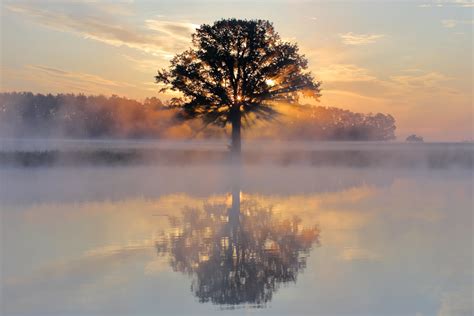 Download Reflection Lake Fog Nature Tree HD Wallpaper by Gerald Tourniaire