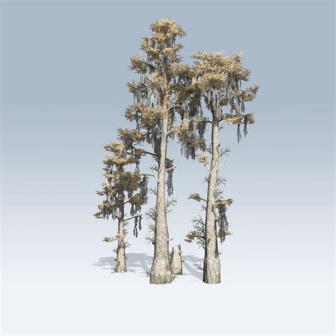 Free Swamp Tree Cliparts, Download Free Swamp Tree Cliparts png images, Free ClipArts on Clipart ...