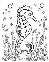 Seahorse Coloring Pages  16 Free Printable sketch template