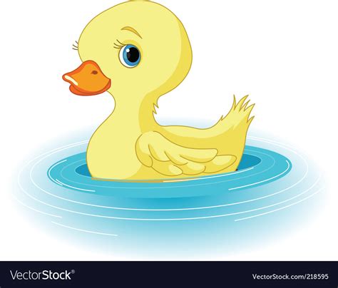 Swimming duckling Royalty Free Vector Image - VectorStock