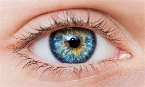 6 Amazing Facts About the Rarity of Blue Eyes - Auckland Eye