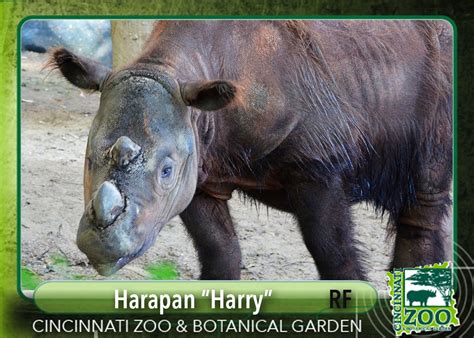 Zoo's Animal All-Stars Lineup - The Cincinnati Zoo & Botanical Garden