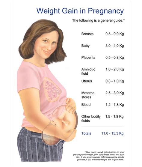 Weight Gain in Pregnancy Chart | Birth International