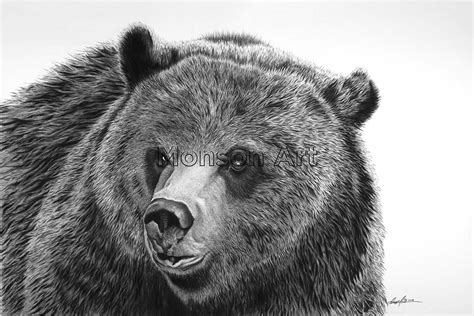 Bear Eyes - Snelson PhotoColor Lab