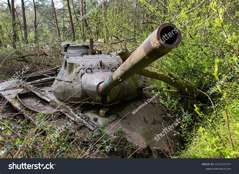 14,545 Tanks In The Forest Images, Stock Photos & Vectors | Shutterstock