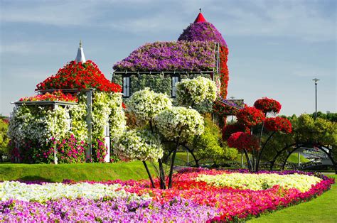 Los campos de flores más espectaculares - Jet News