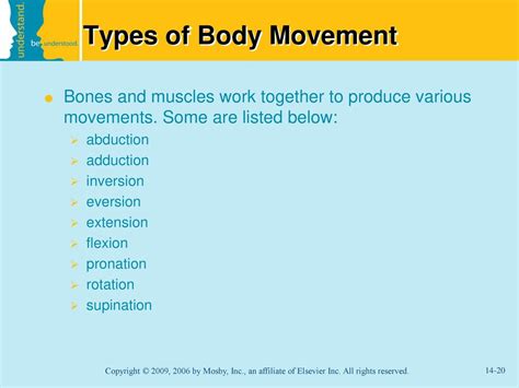 Musculoskeletal System - ppt download