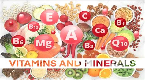 Why are Vitamins & Minerals important for your hair? The importance of nutrition to achieve ...