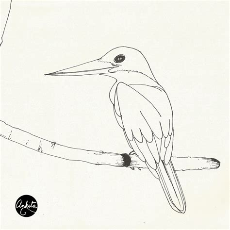 Kingfisher Bird Sketches at PaintingValley.com | Explore collection of ...