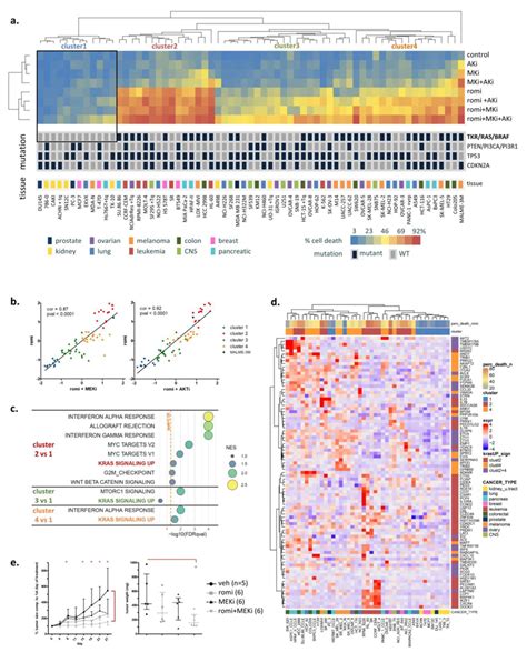 Activated RAS pathway is linked to romidepsin sensitivity. (a) Cells... | Download Scientific ...