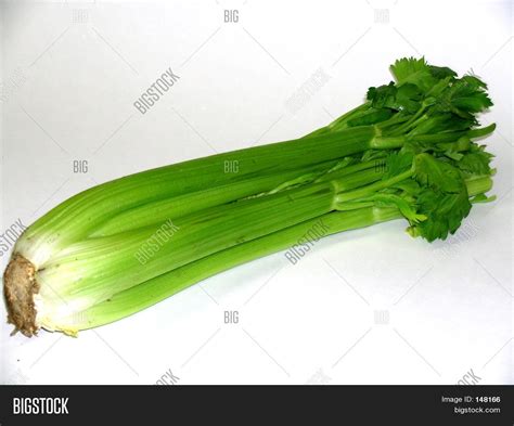 Celery Stalk Image & Photo (Free Trial) | Bigstock