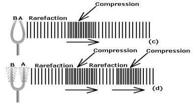 With the help of a diagram describe how compression and rarefaction ...