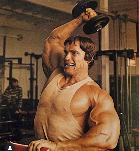 Arnold Bodybuilding, Arnold Schwarzenegger Bodybuilding, Body Builder ...