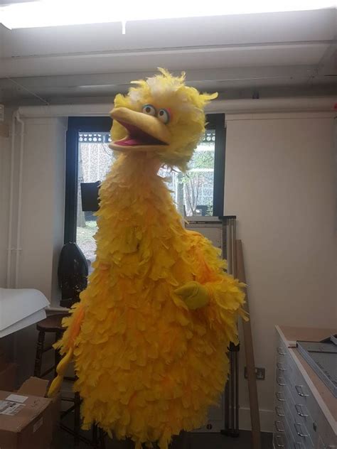 Big Bird Costume Puppet Replica | Page 2 | RPF Costume and Prop Maker Community