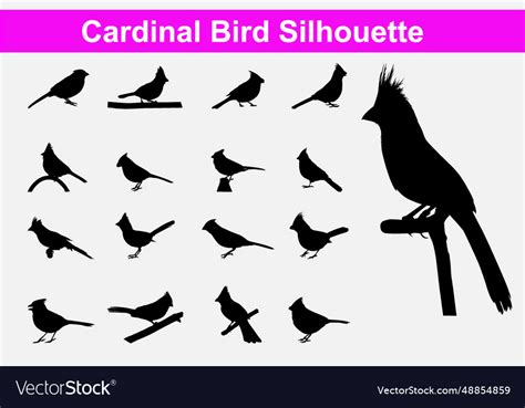 Cardinal bird silhouette Royalty Free Vector Image