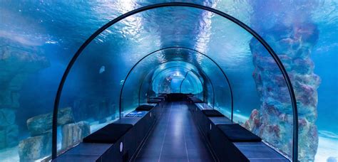 Exploring the Wonders of Aquariums in Istanbul | Rohal's Diary