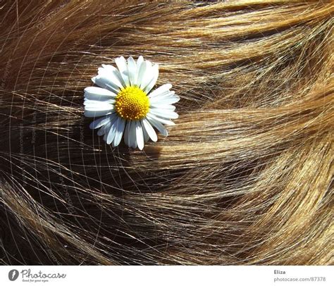 Blond hair with a daisy - a Royalty Free Stock Photo from Photocase