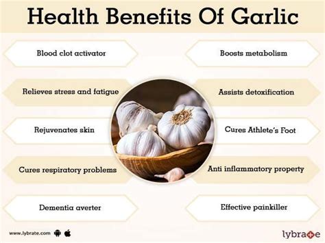 Health Benefits of Garlic Anyone looking to increase their overall ...