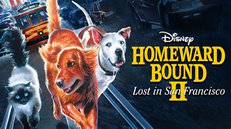 Watch Homeward Bound II: Lost in San Francisco | Disney+