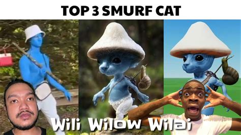 Top 3 Smurf Cat - YouTube