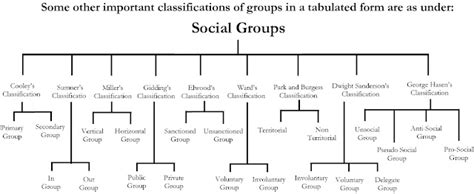 Social Groups