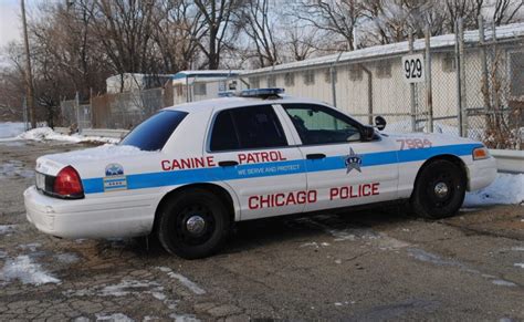 CANINE UNIT | ChicagoCop.com