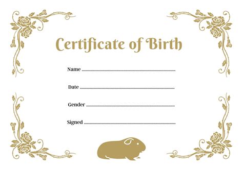 Guinea Pig Birth Certificate Printable PDF A4 Download Instant Print at Home Template Gold - Etsy UK