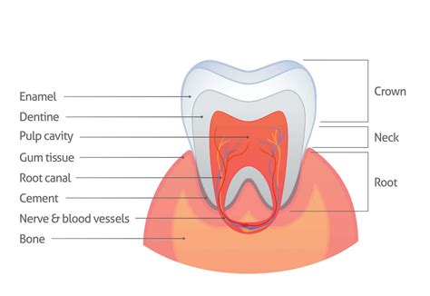 Treatment for Enamel Hypoplasia - Biscayne Dental Center