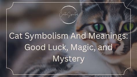 Cat Symbolism And Meanings: Good Luck, Magic, and Mystery