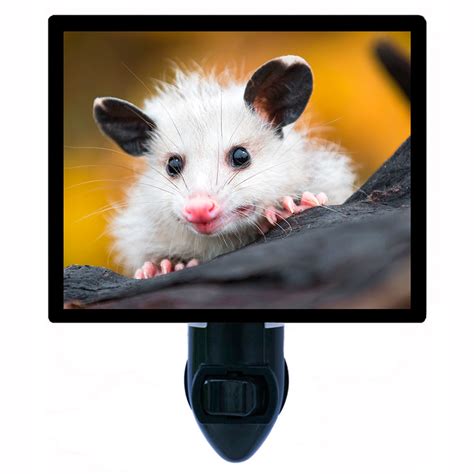 Opossum Joey - Night Light Designs