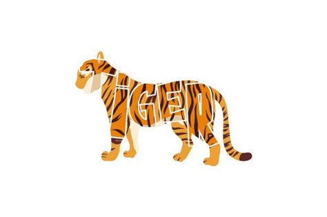 Tiger, Word Art Template SVG Cut file by Creative Fabrica Crafts ...